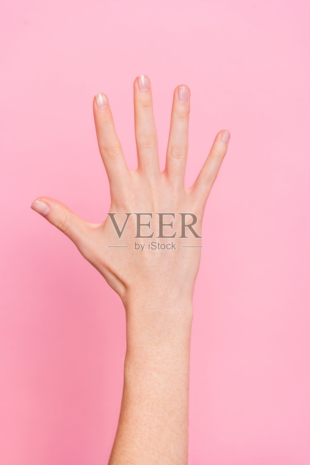 女性竖直肖像特写,手掌抬起展示指甲,背景为粉色。照片摄影图片