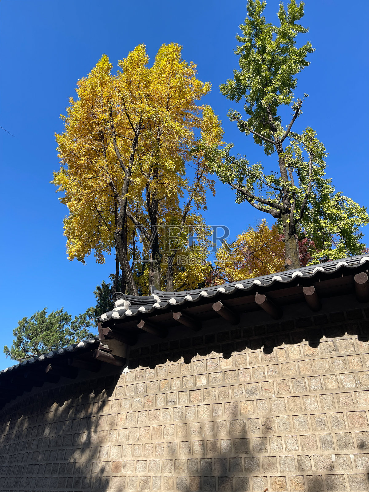 秋天的德寿宫石墙照片摄影图片