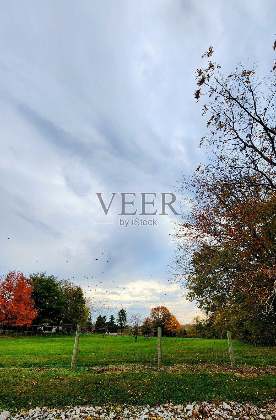 十月的秋季乡村风光照片摄影图片