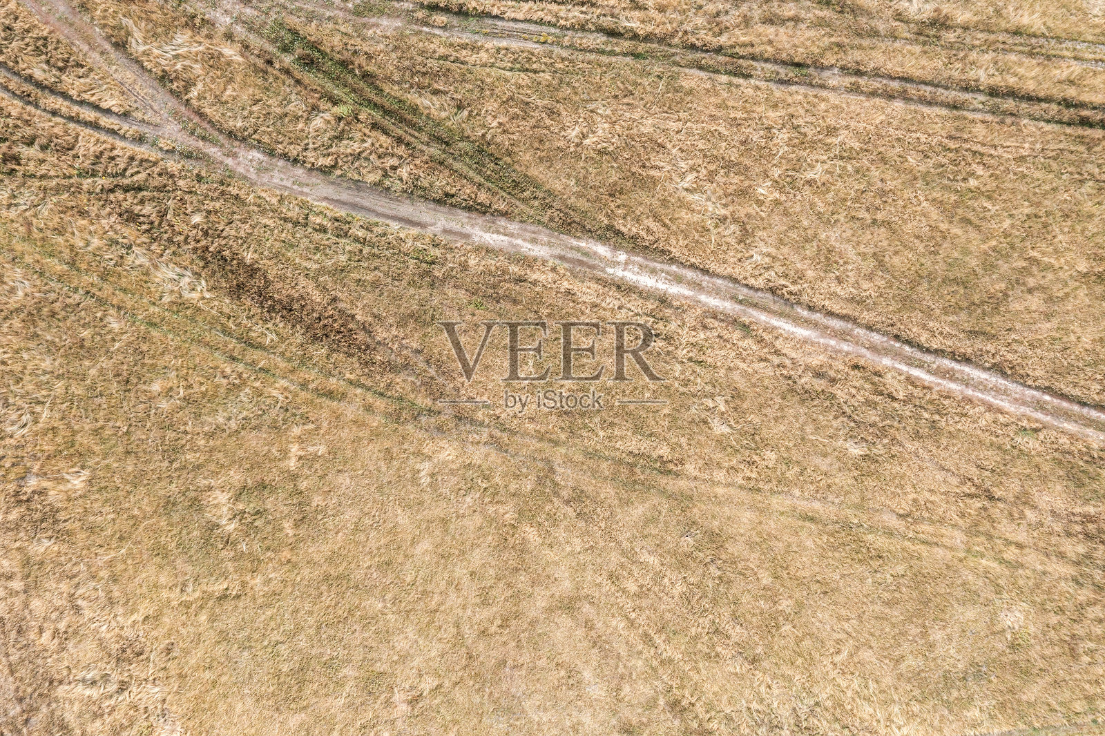 秋季田野干草上的汽车轮胎痕迹。无人机俯视图。照片摄影图片