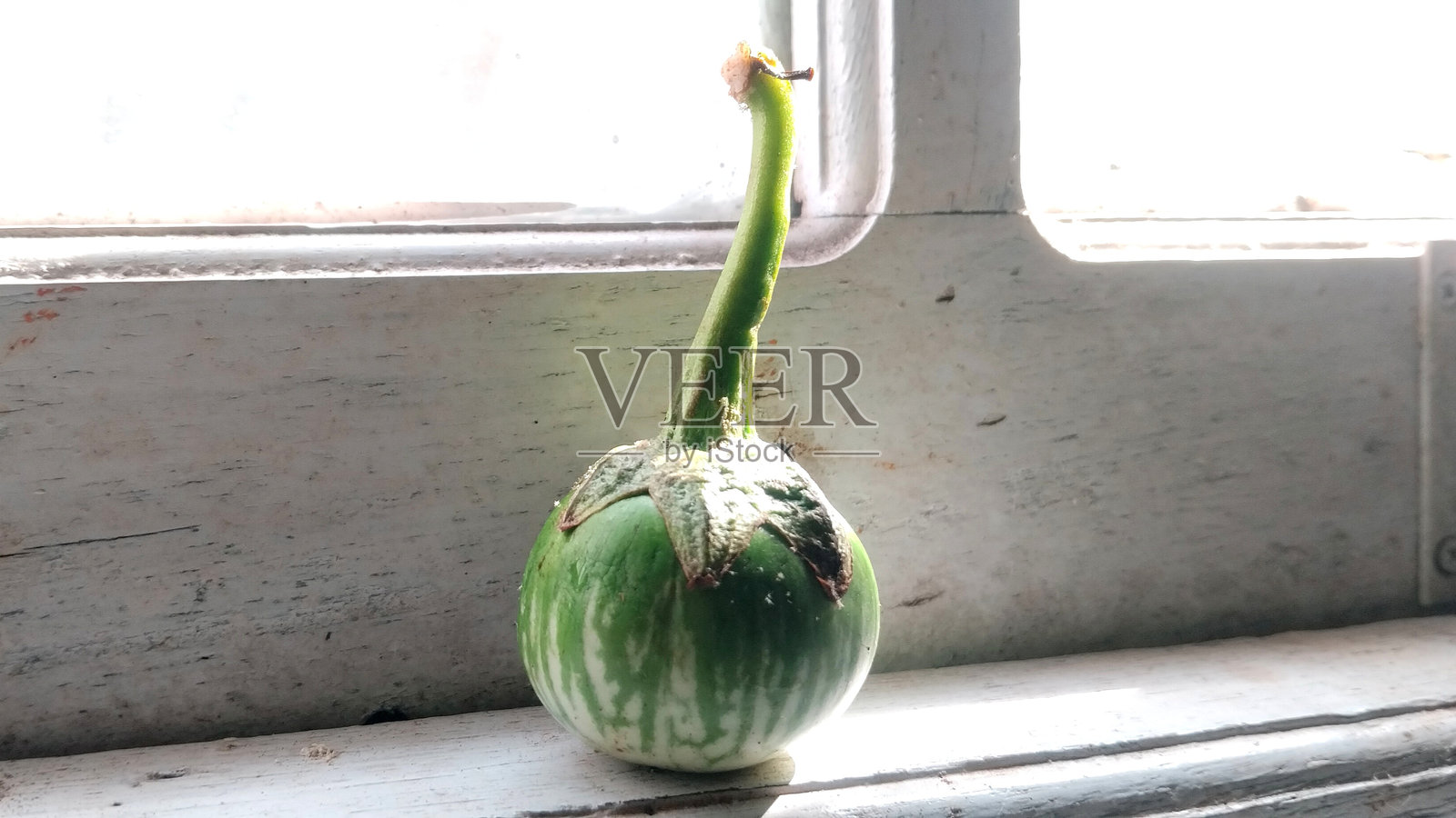 小型绿色茄子的特写镜头照片摄影图片