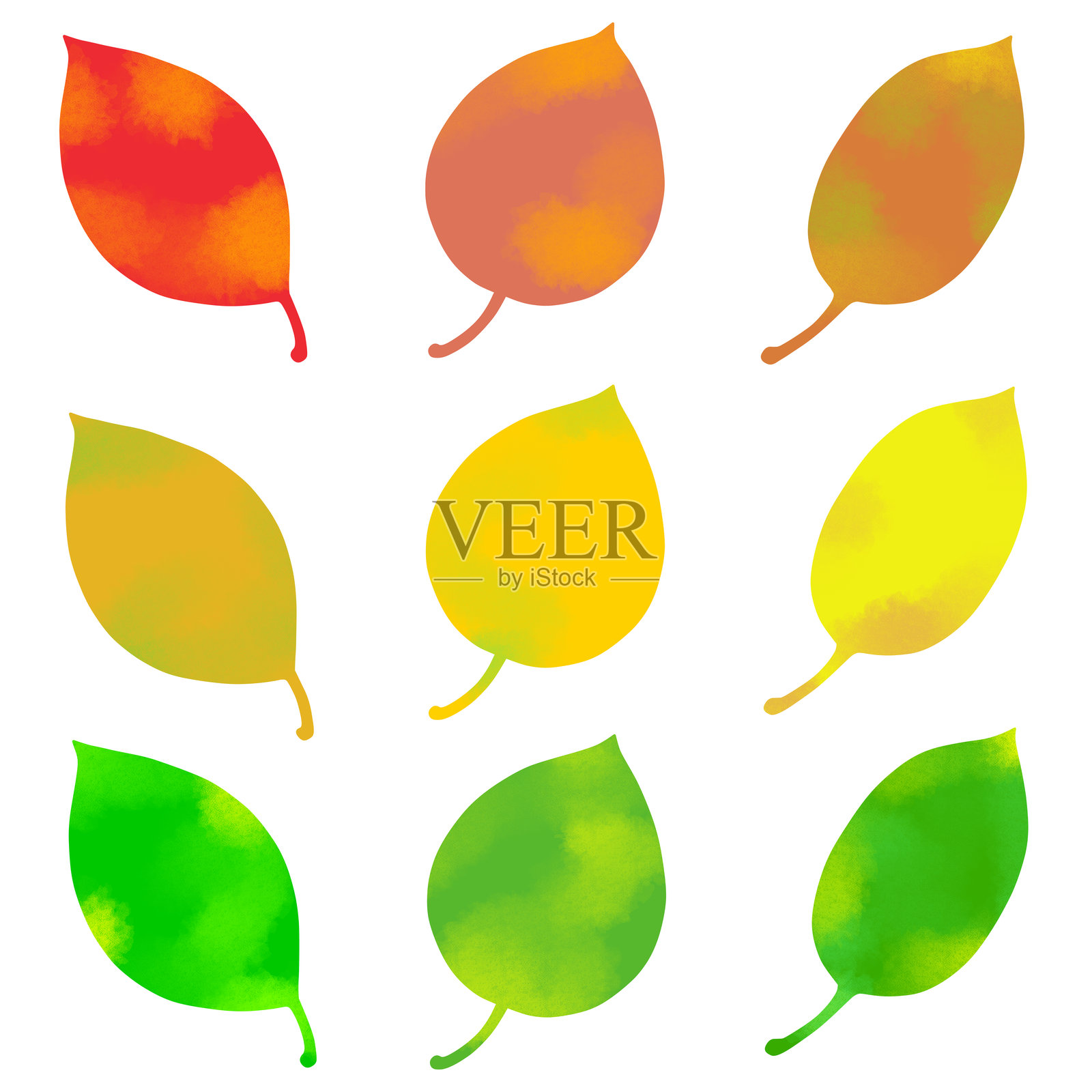 一组多彩的秋天树叶插图素材照片摄影图片