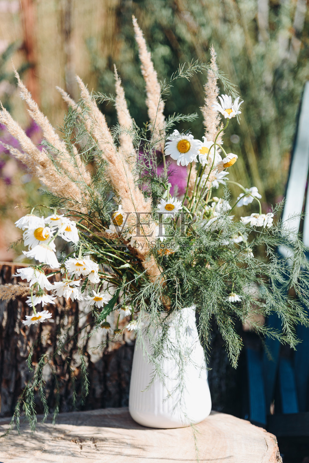 白色花瓶里插着雏菊和装饰植物照片摄影图片