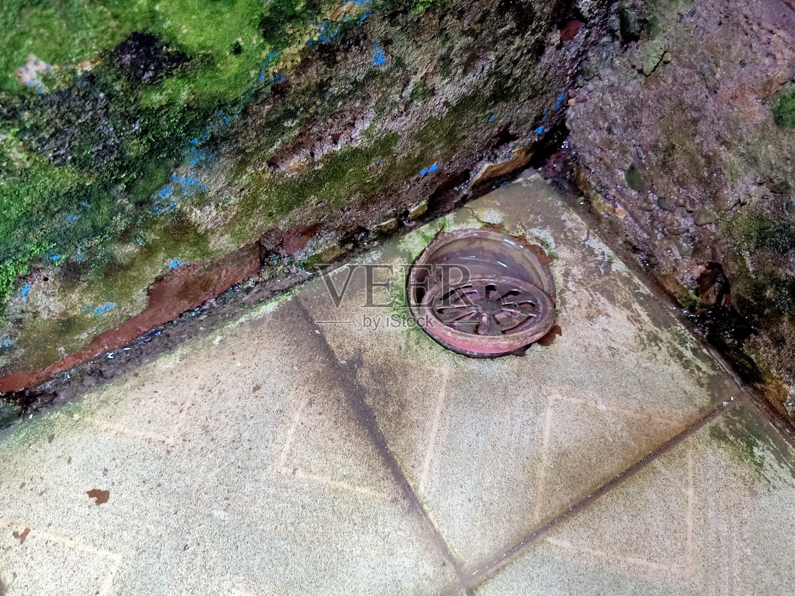 浴室里长满苔藓和霉菌的排水管照片摄影图片