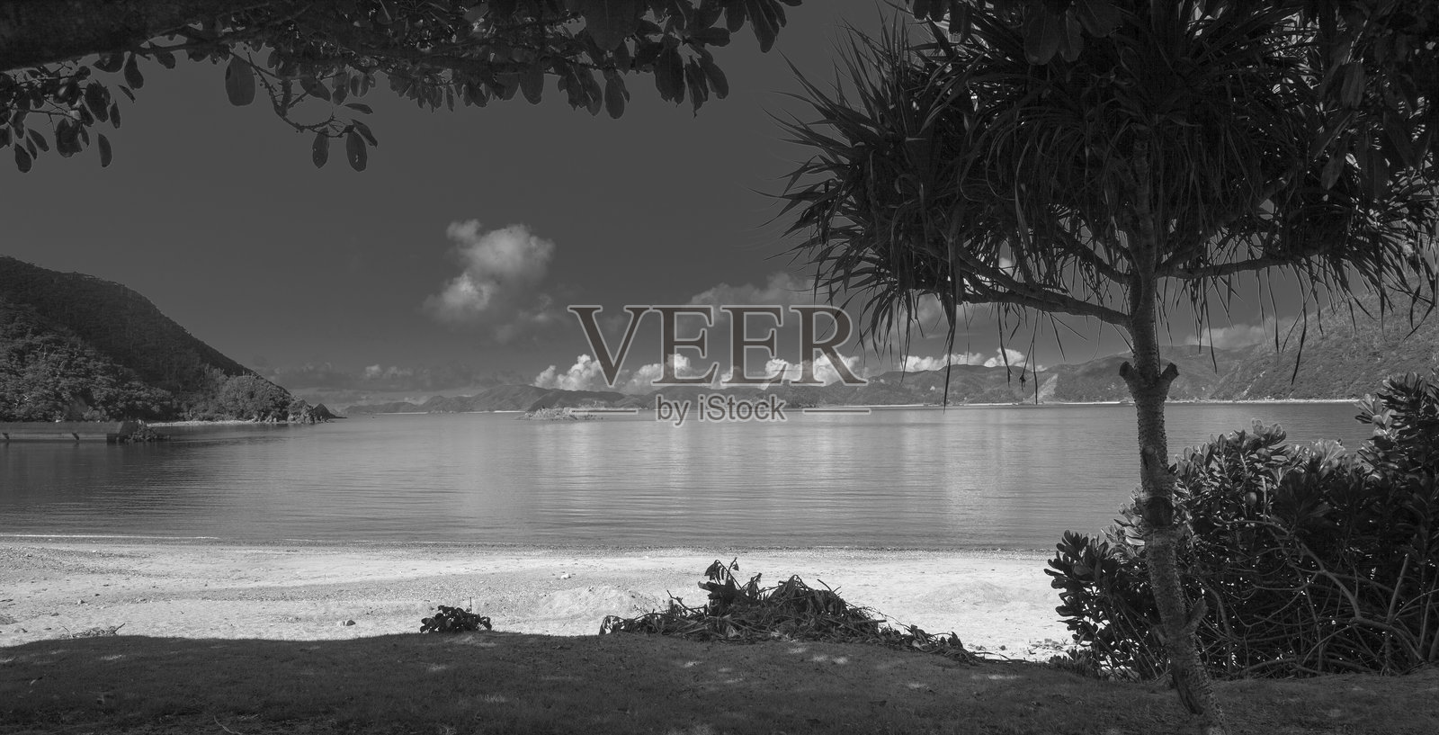 大自然是富有创造力的照片摄影图片