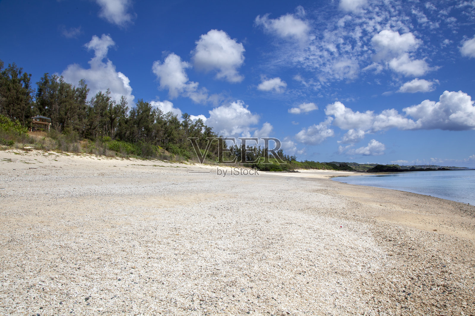 大自然是富有创造力的照片摄影图片