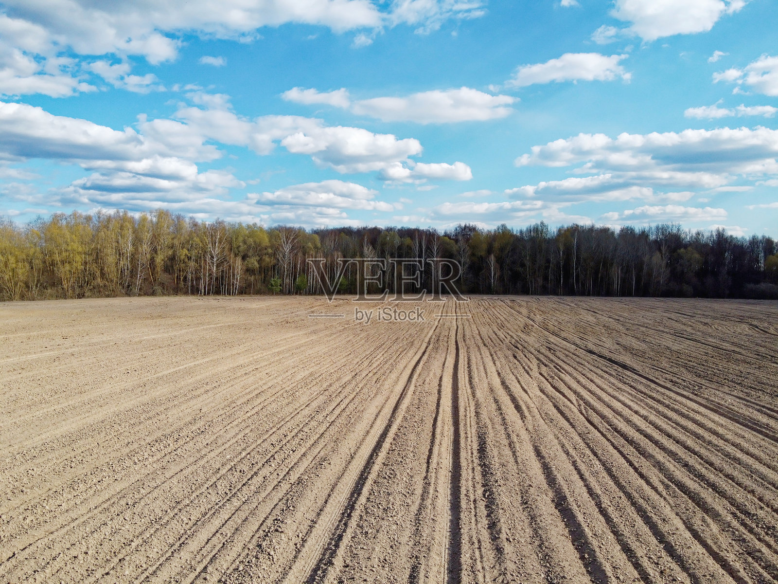 阳光明媚的日子里,森林附近的耕地,鸟瞰图。农业田地。照片摄影图片