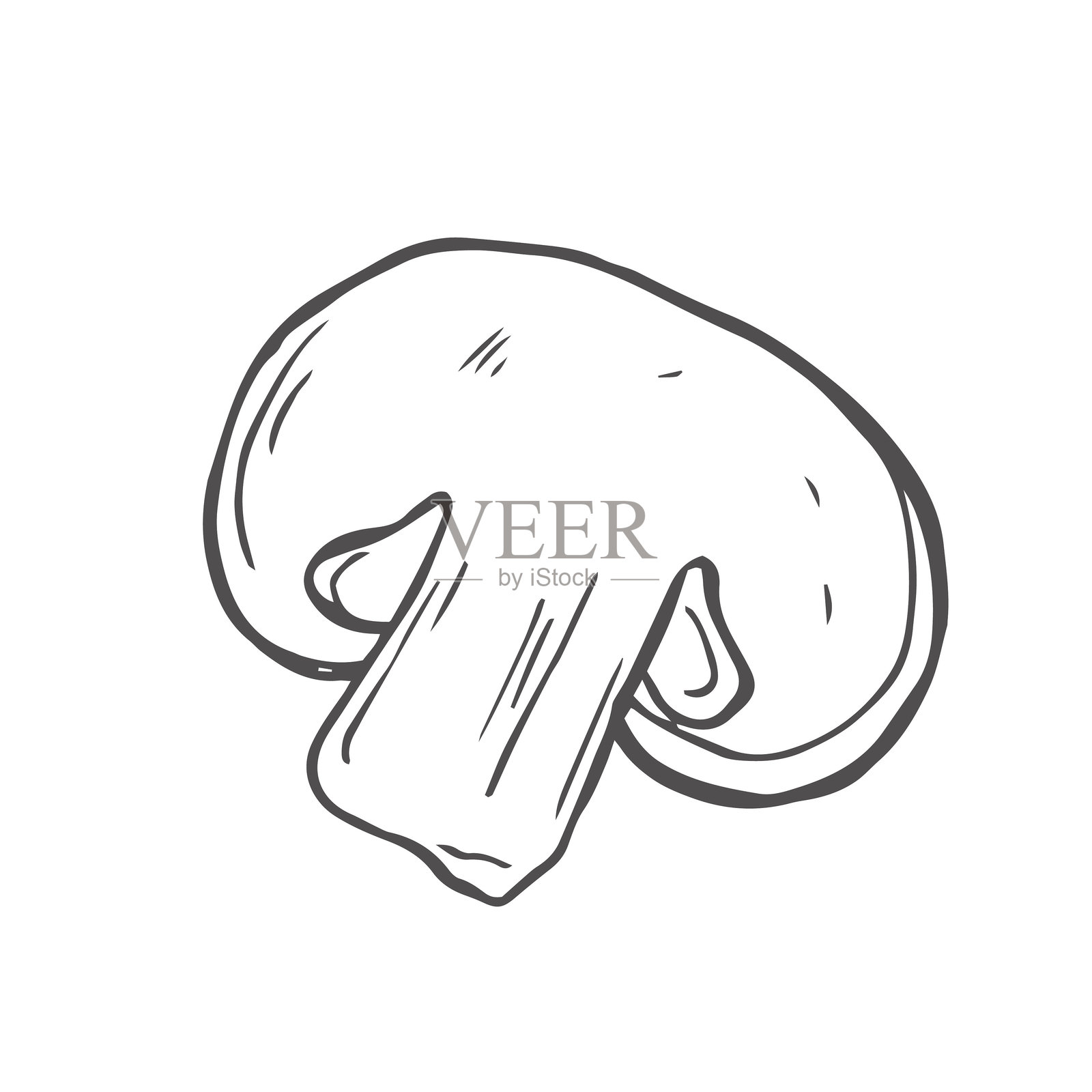 手绘风格的香菇和蘑菇组合,适用于厨房、烹饪博客、农贸市场、包装、海报设计和在线商店。插画图片素材