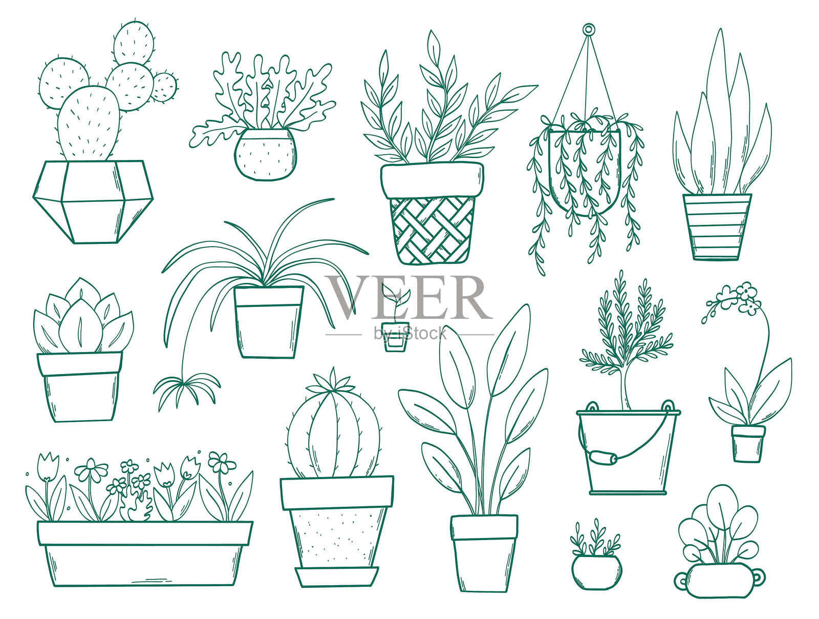 室内植物涂鸦集插画图片素材