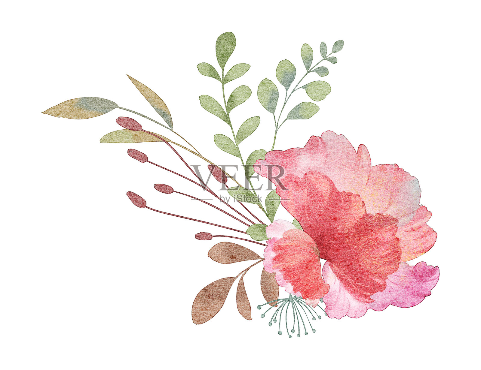 红梅花束插图插画图片素材