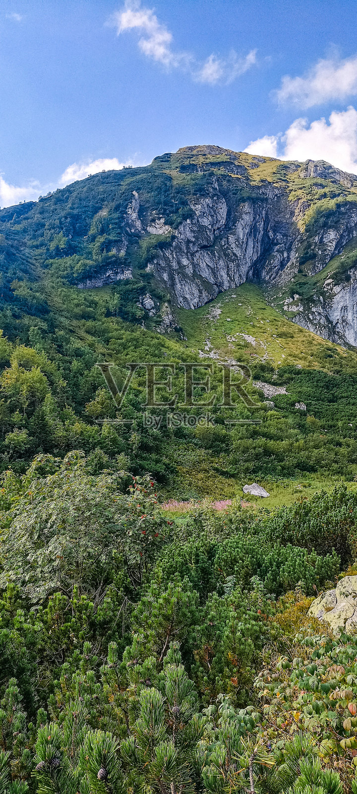 前往山脉。塔特拉山脉的徒步旅行。山峰之间的山谷。照片摄影图片