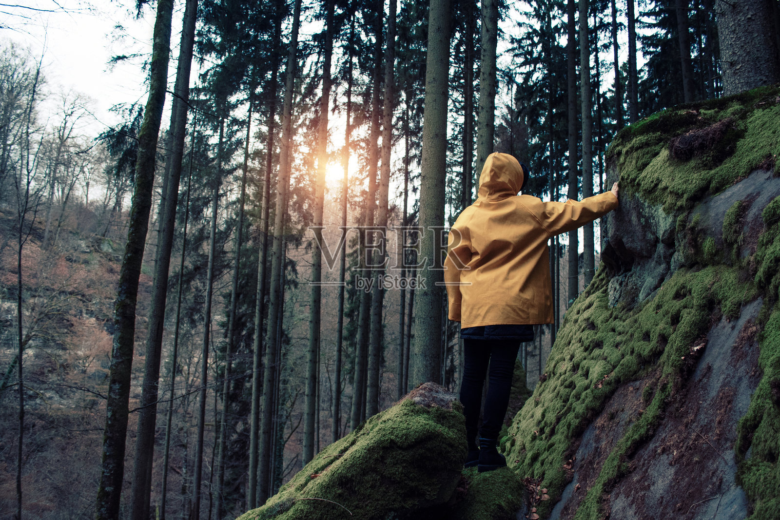 森林中站着的男人照片摄影图片