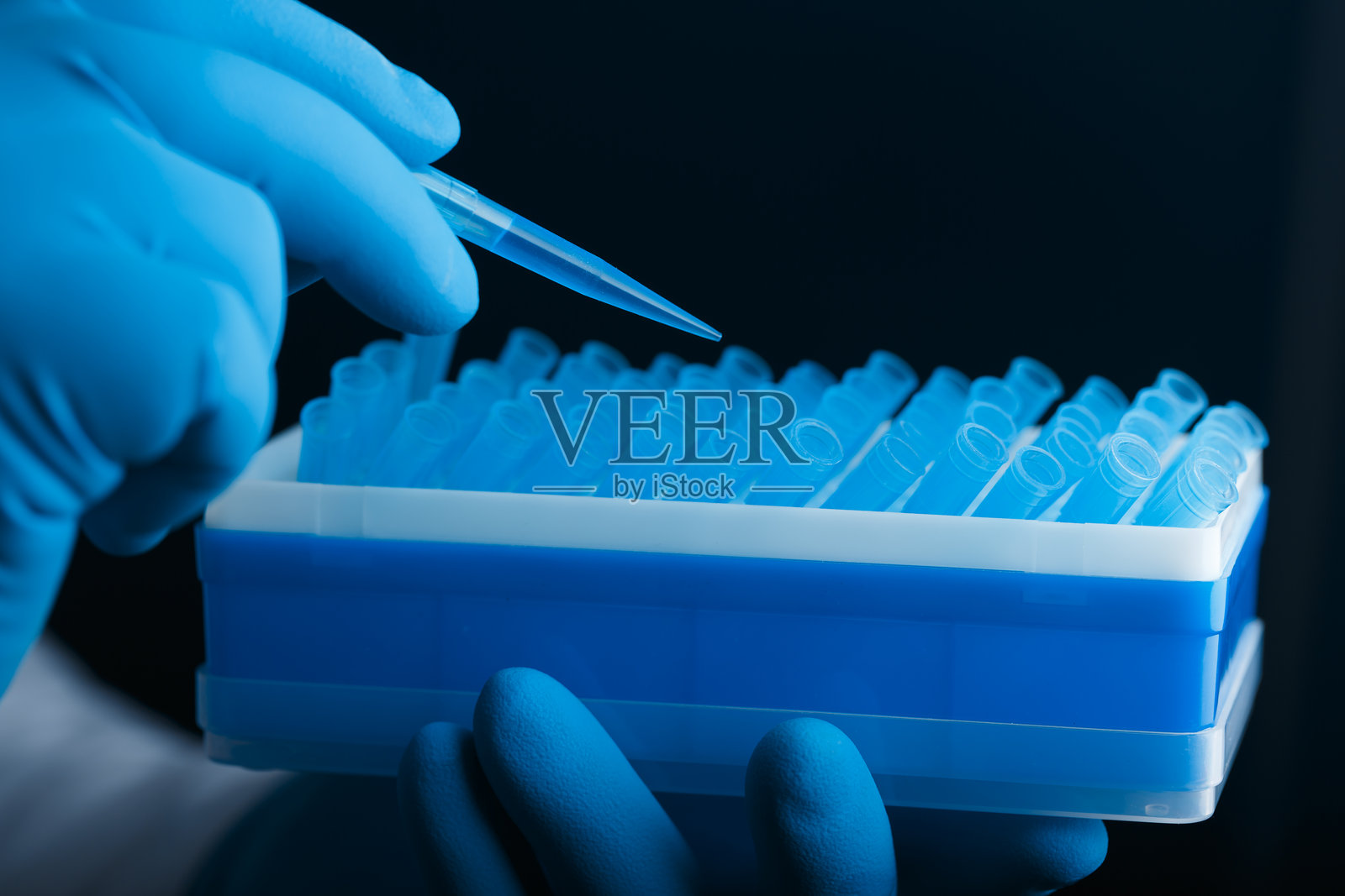 一位科学家的手戴着手套,握着移液管照片摄影图片