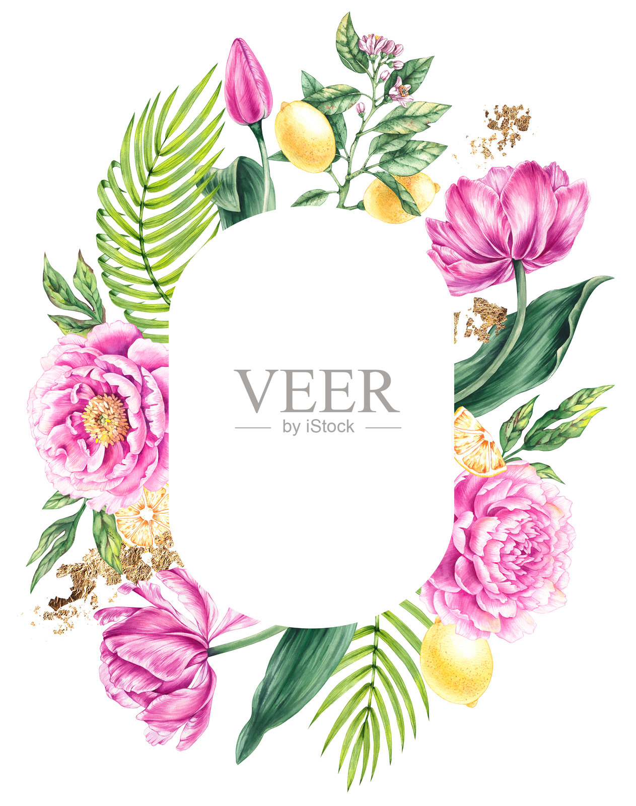 手绘水彩插图的花卉系列照片摄影图片