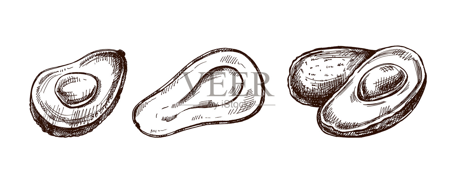 手绘鳄梨素描套装。成熟鳄梨的复古画作。黑色墨水轮廓的食品插图。墨西哥食品,菜肴,拉丁美洲。菜单插图。插画图片素材