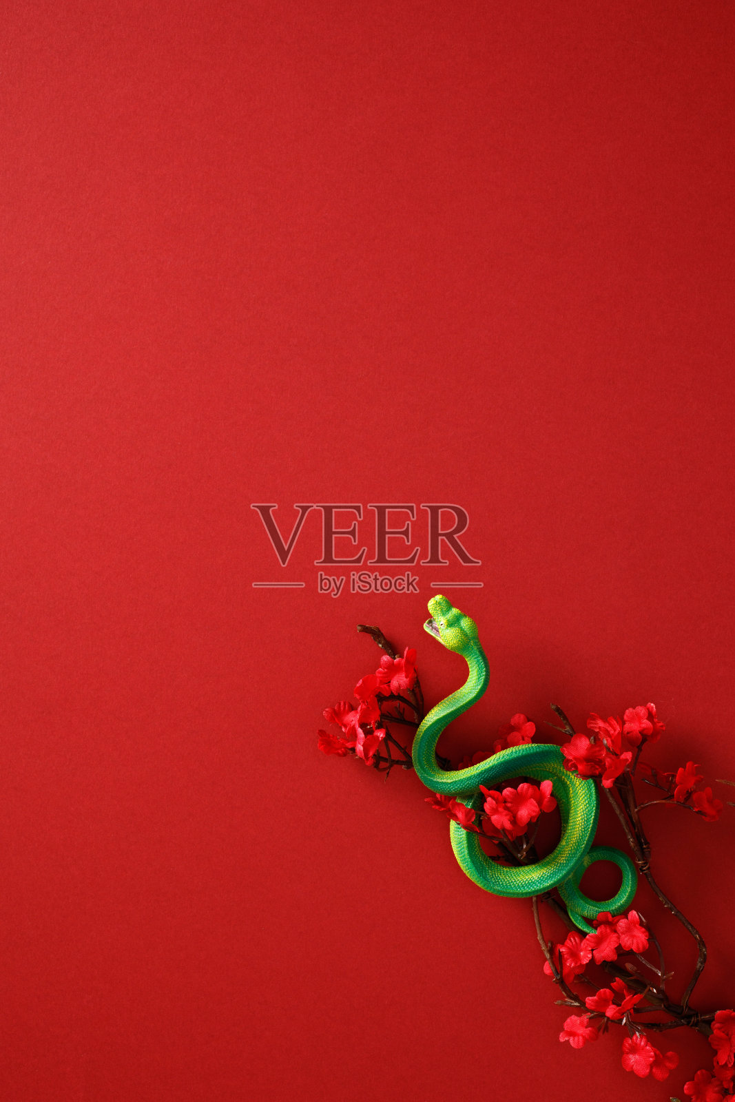 绿色蛇盘绕在樱花枝上,背景为红色。2025年春节竖版横幅设计照片摄影图片
