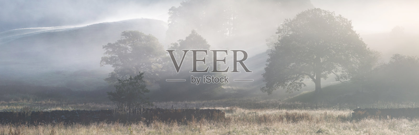 一个雾气弥漫的晚夏清晨,阳光开始穿透雾气,树木和草地在英格兰湖区的埃尔特沃特附近显得格外迷人。照片摄影图片