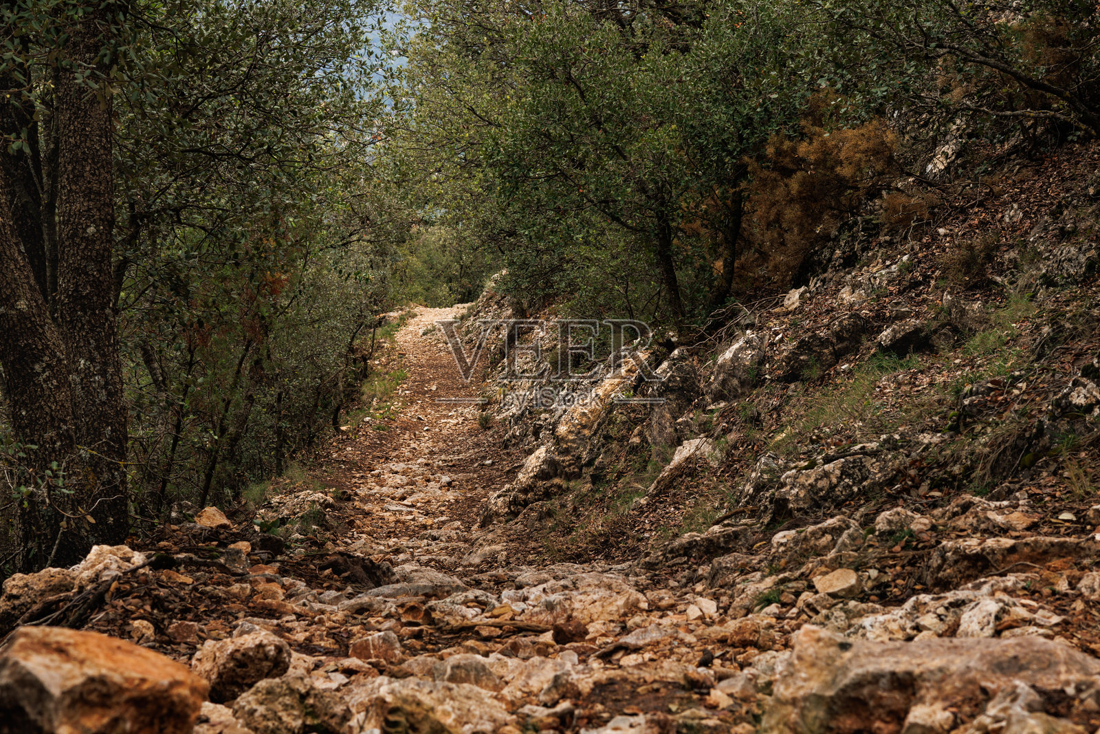 阿尔科伊的Fuente Roja自然公园中的地狱峡谷路线照片摄影图片