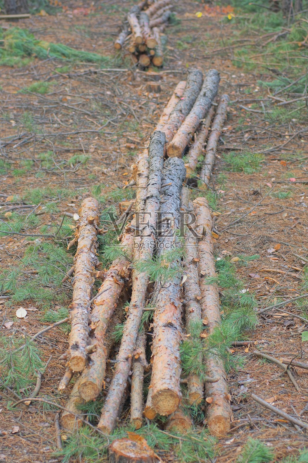 秋天街道上的一堆棕色松木原木照片摄影图片