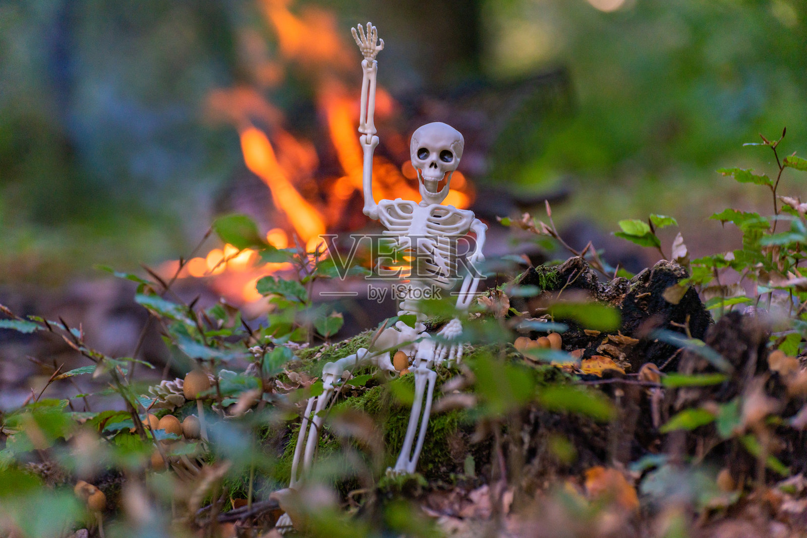 秋季森林中的万圣节角色照片摄影图片