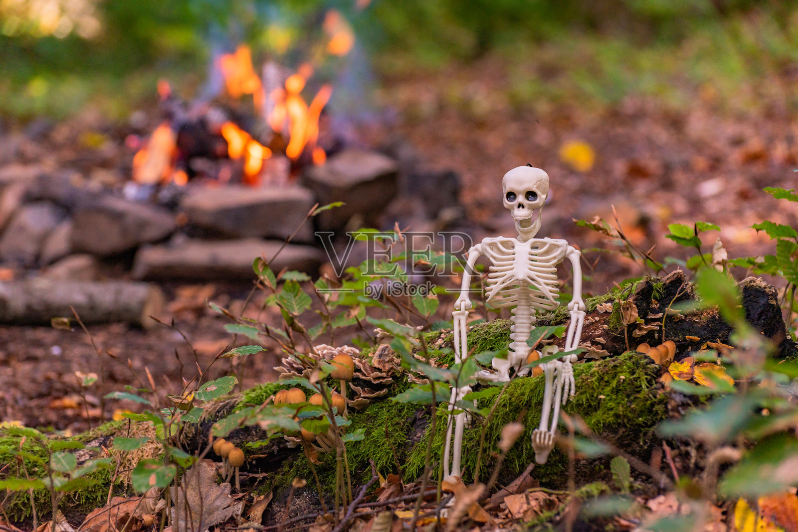 秋季森林中的万圣节角色照片摄影图片