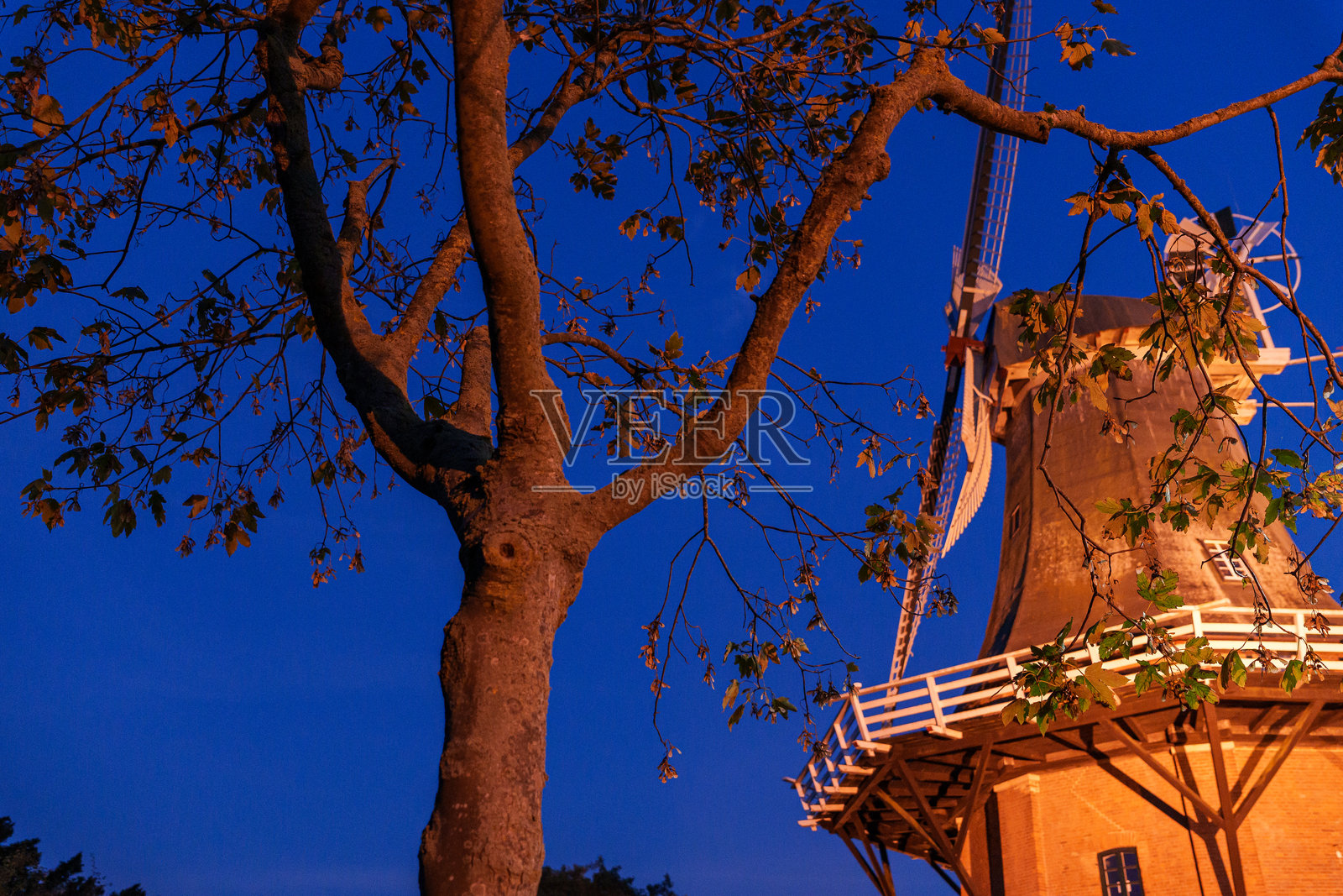 东弗里斯兰的格雷茨尔小渔村夜景照片摄影图片