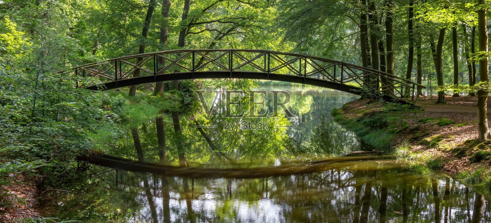 宁静的森林桥横跨平静的河流照片摄影图片