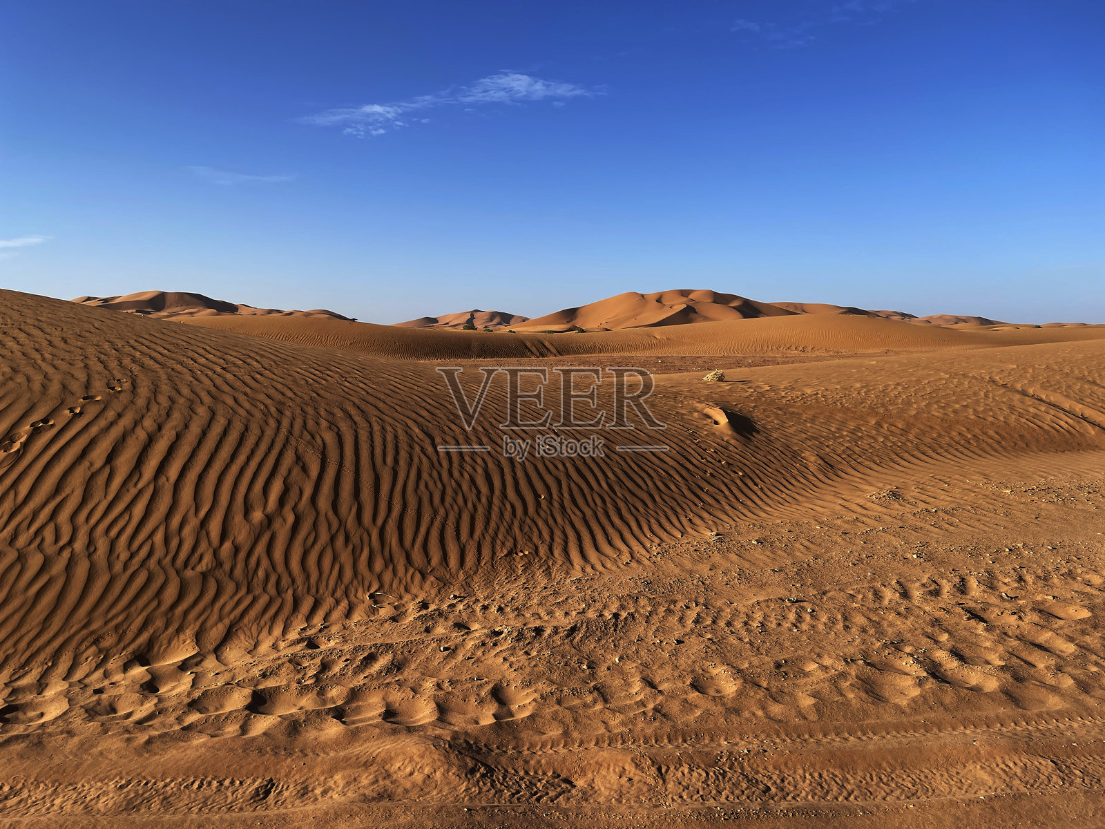 里萨尼厄尔格切比照片摄影图片