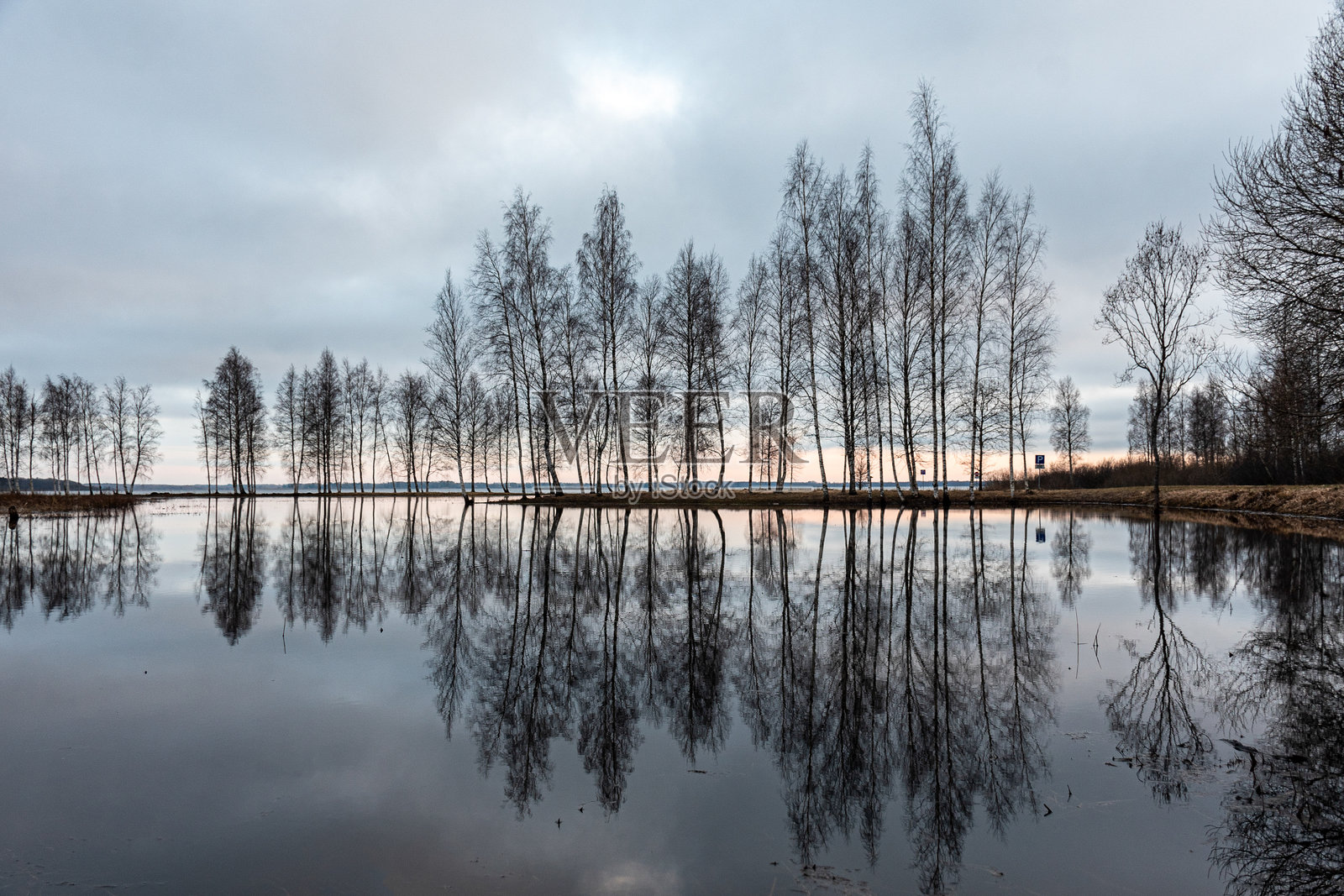 春天的风景,湖泊被淹没,树木的黑色轮廓在逆光中显现,水中映出树木的倒影。照片摄影图片