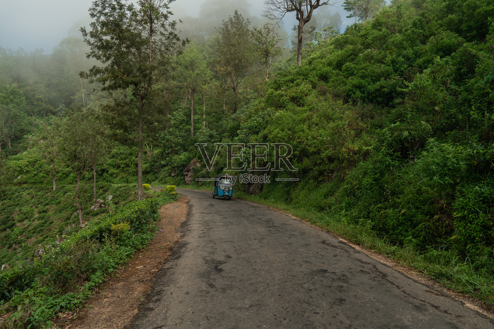 斯里兰卡茶园中的嘟嘟车照片摄影图片