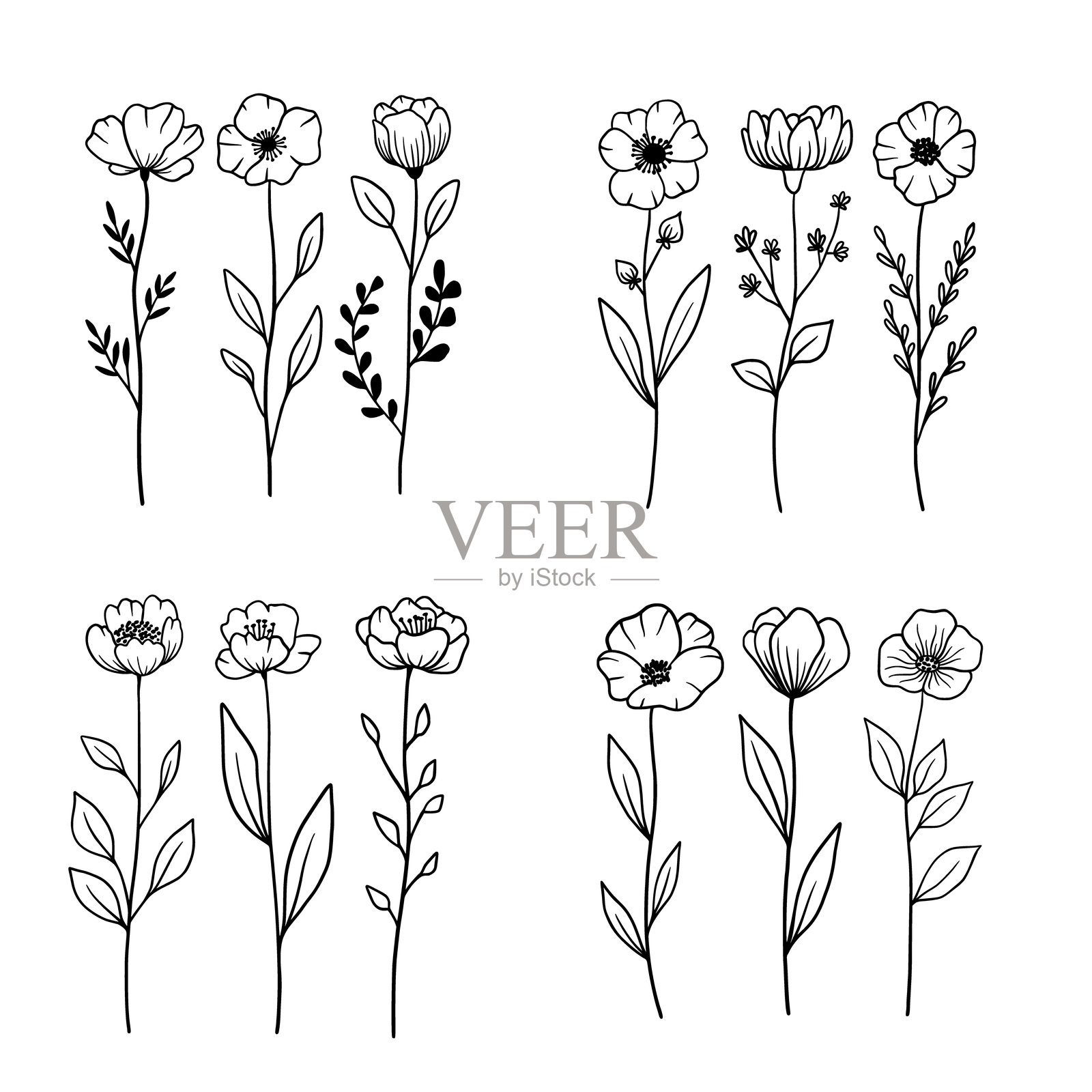 花卉排列组合。手绘花卉套装。剪影矢量平面插图。轮廓画。线条矢量插图。白色背景上独立展示。适合海报、T恤、明信片。插画图片素材