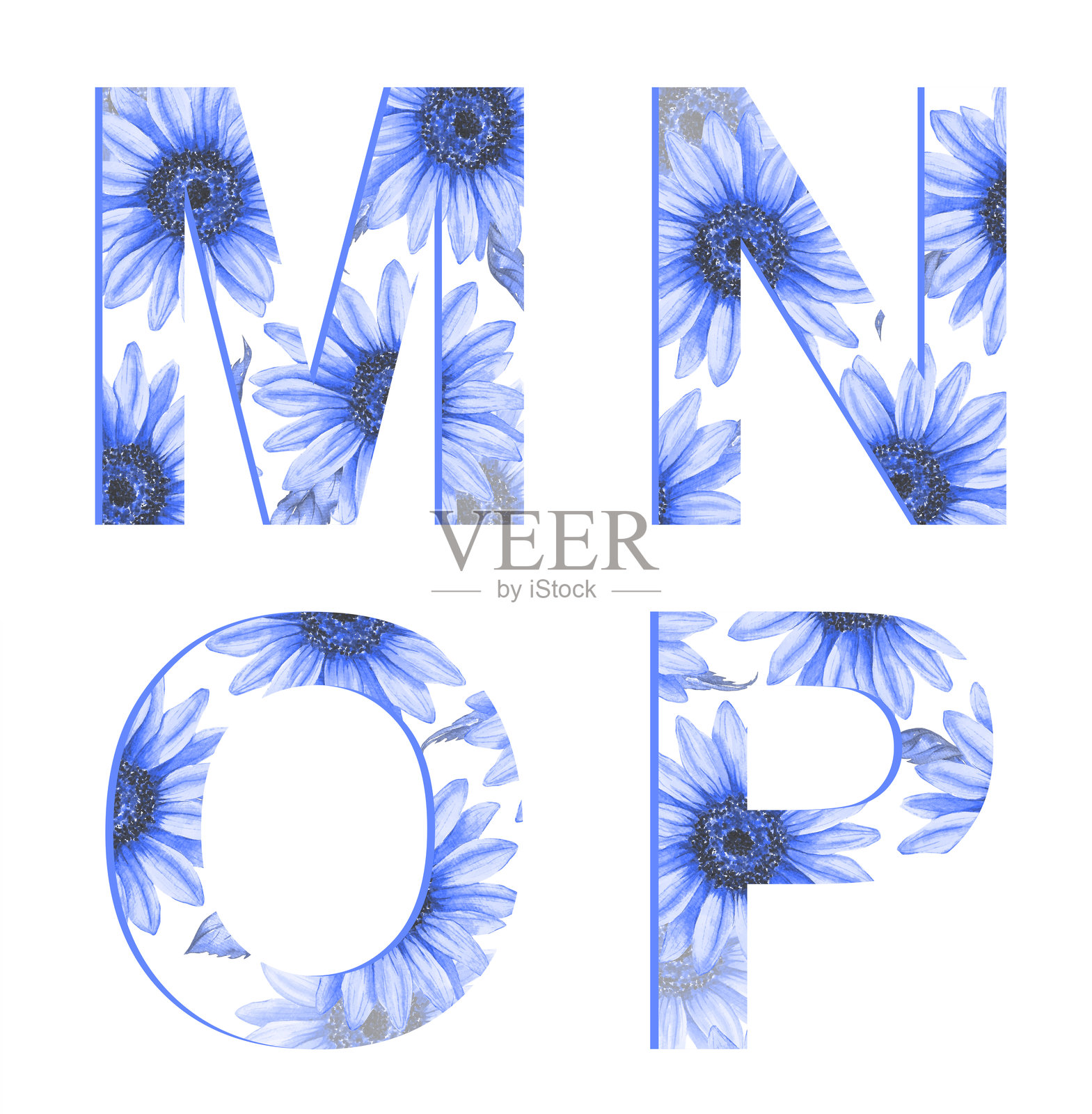 向日葵字母组合集,背景为白色。照片摄影图片