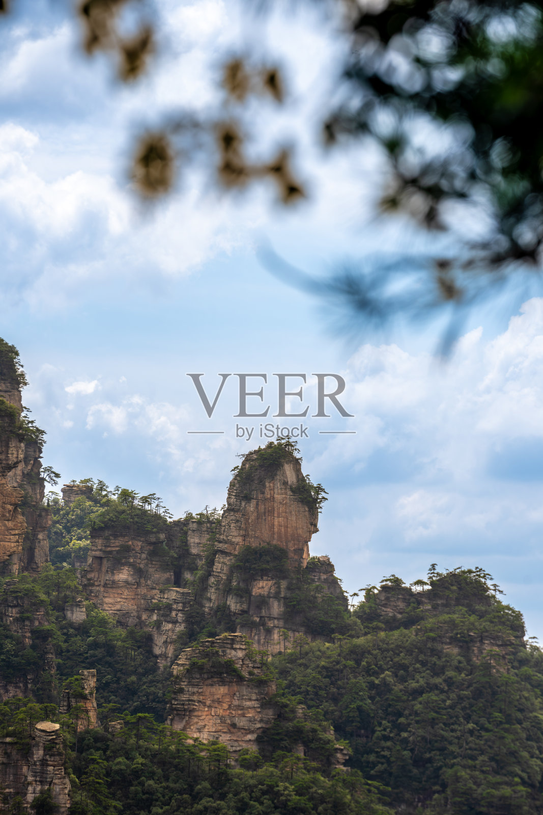 湖南张家界风景区的雄伟山峰和茂密森林照片摄影图片