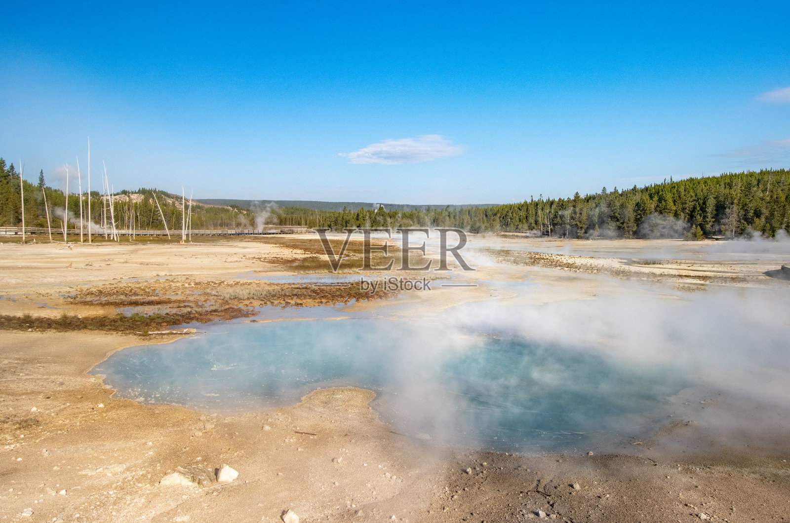 黄石国家公园诺里斯间歇泉盆地的热水池照片摄影图片
