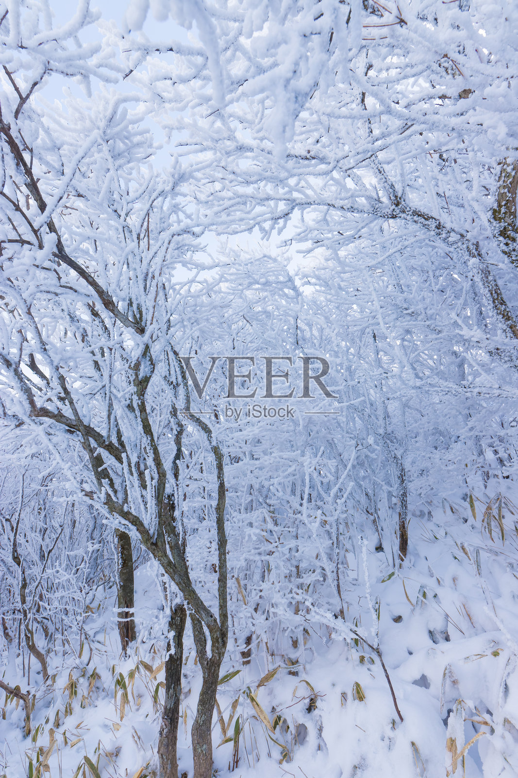 雪山攀登照片摄影图片