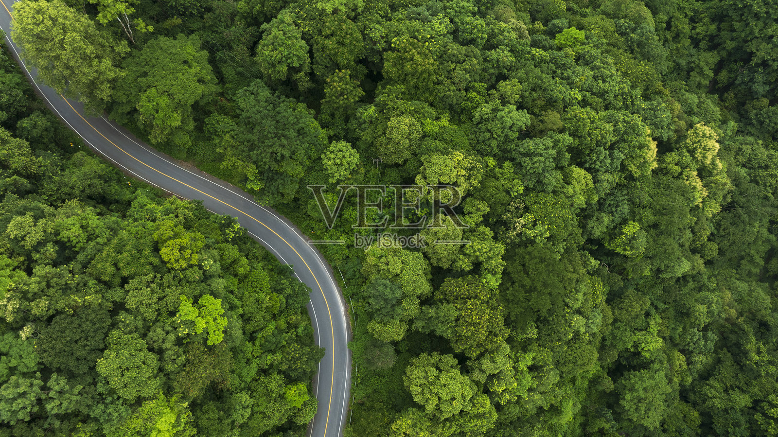 森林中间的道路鸟瞰图,蜿蜒的道路修建通向山顶照片摄影图片