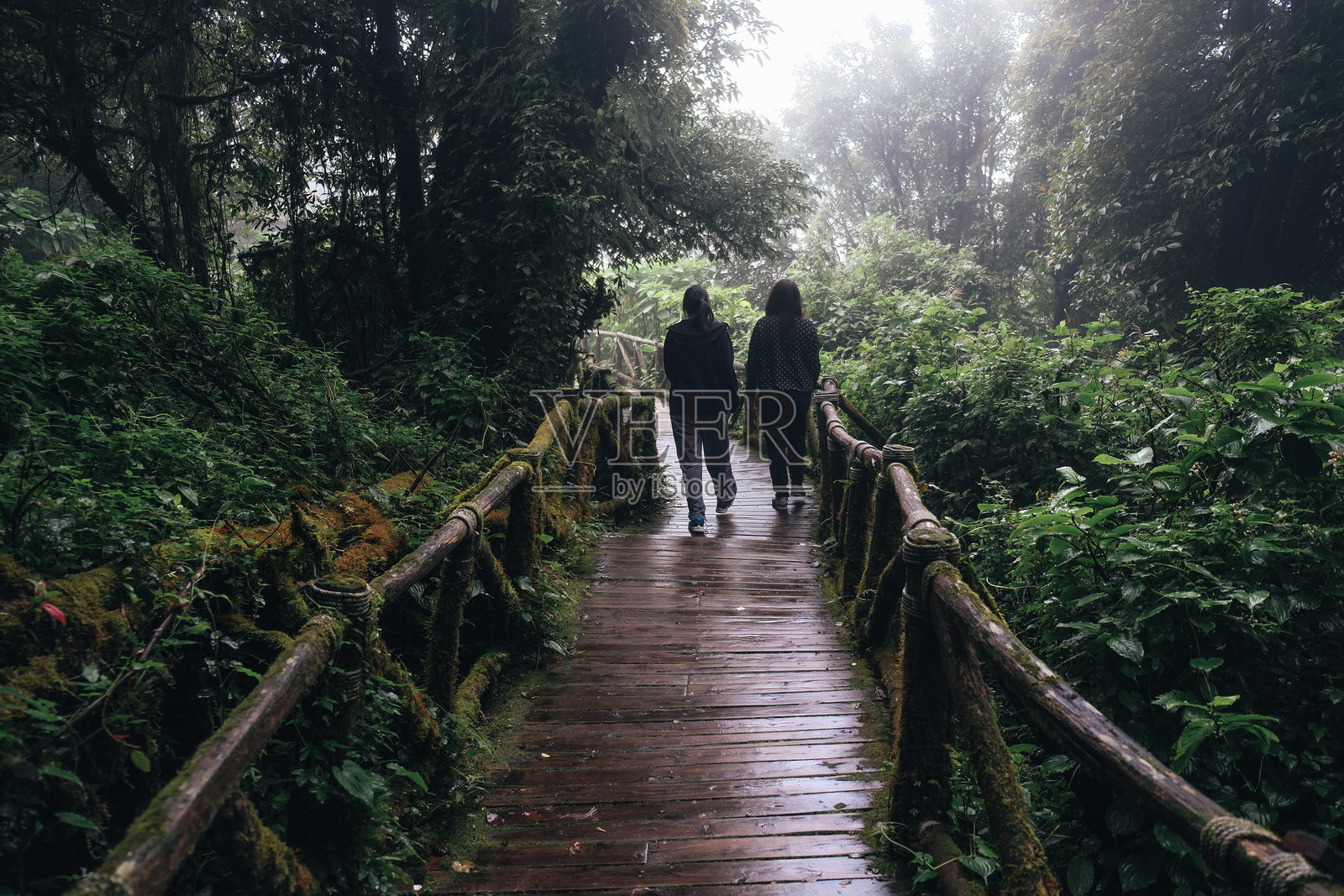 女性朋友在森林的木板路上行走的后视图照片摄影图片