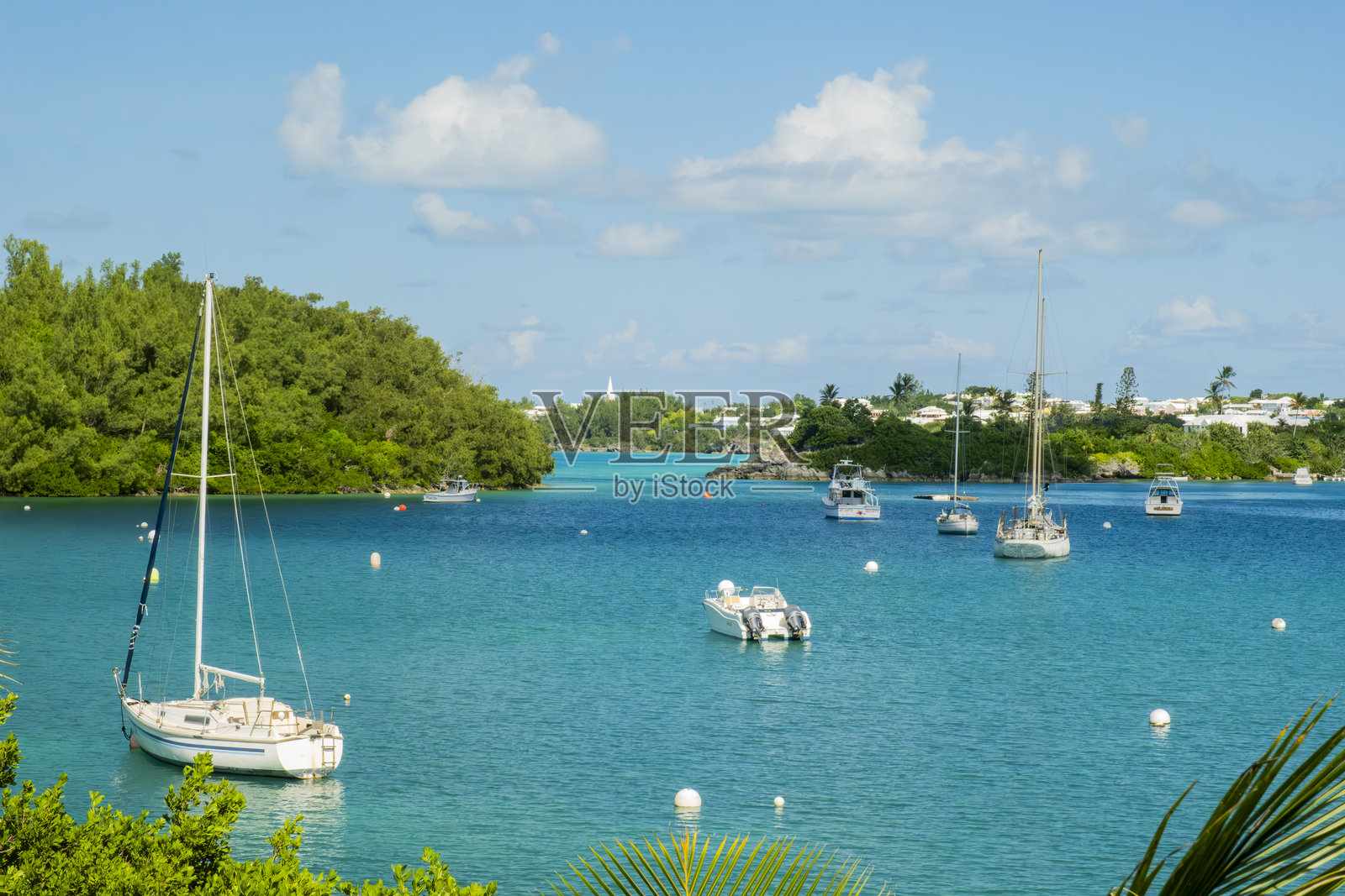 百慕大停泊的帆船照片摄影图片