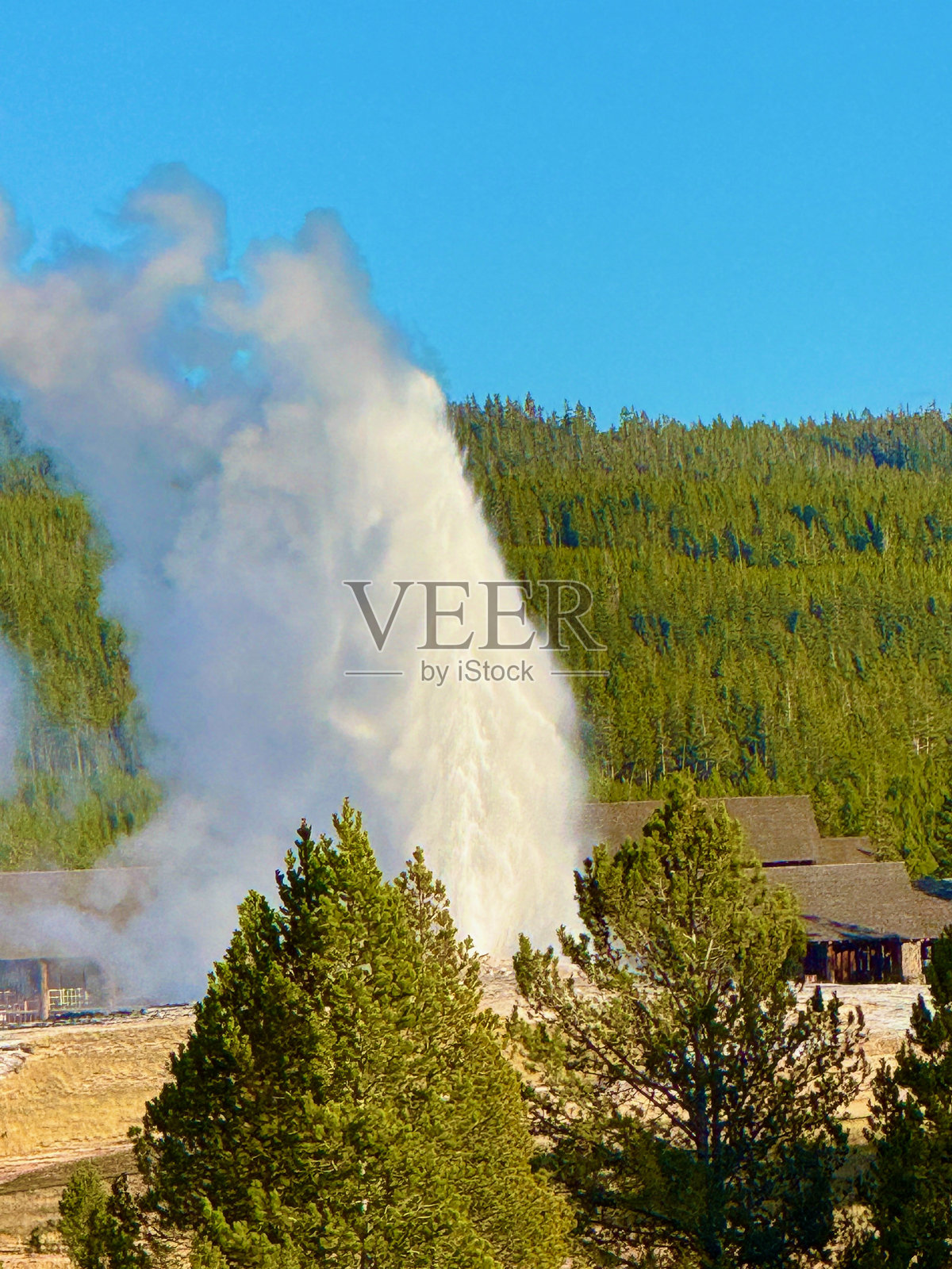 黄石国家公园的上间歇泉盆地照片摄影图片