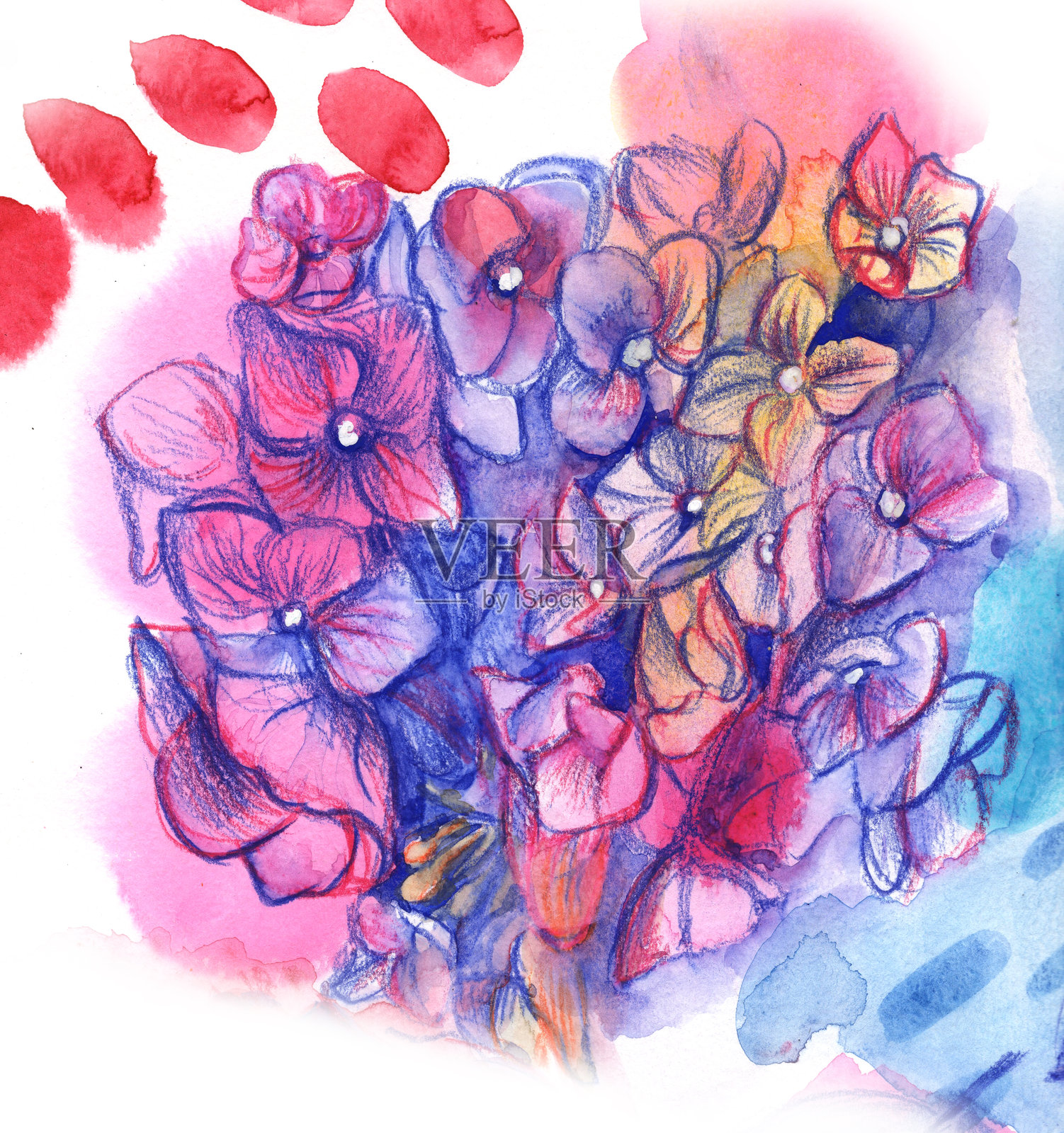 用水彩铅笔绘制的粉色花束水彩素描插图照片摄影图片