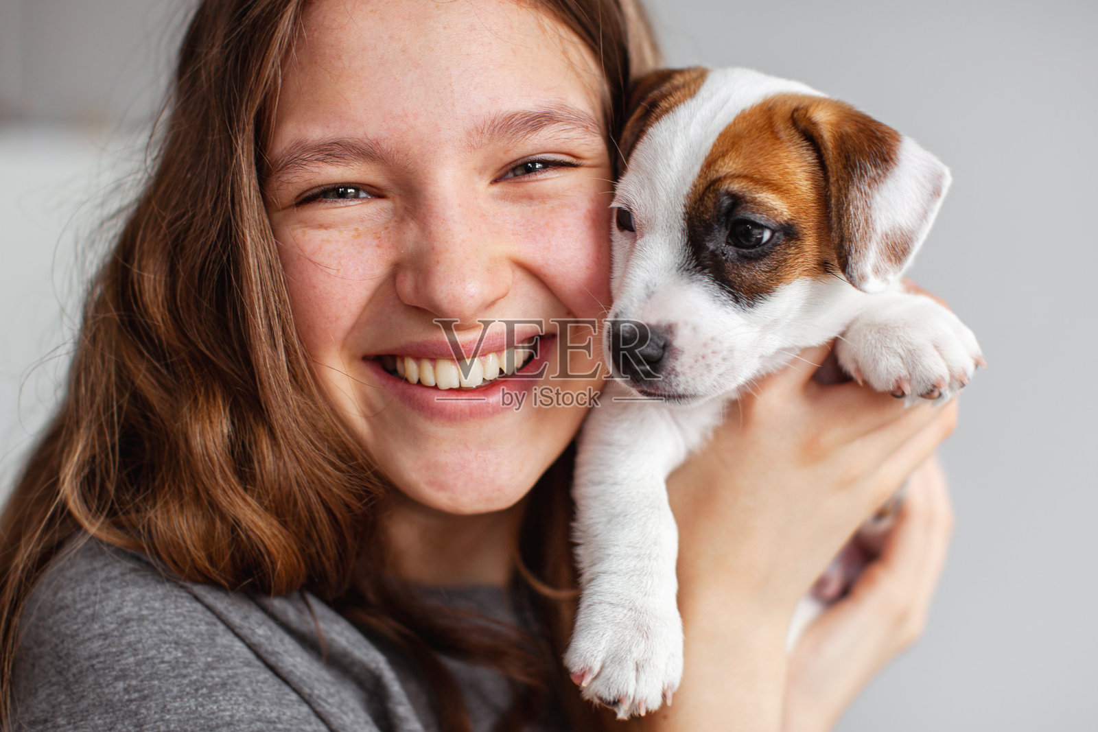 女人在家里和可爱的小狗玩耍照片摄影图片