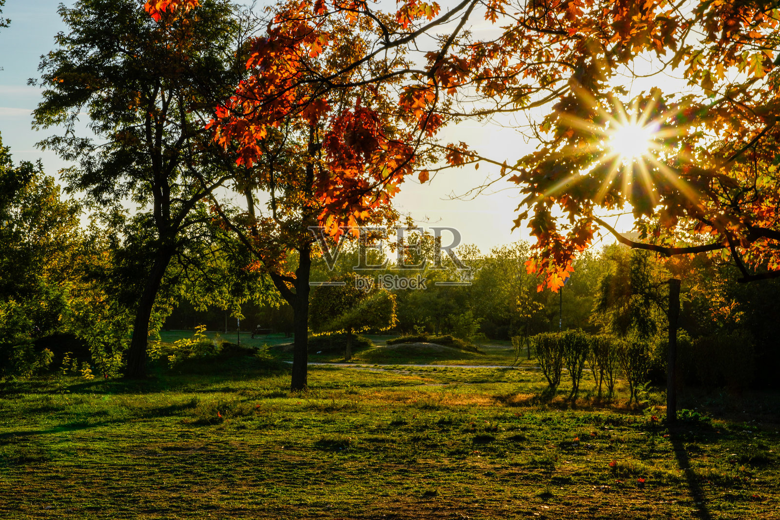 布加勒斯特市的伊兹沃尔公园,罗马尼亚照片摄影图片