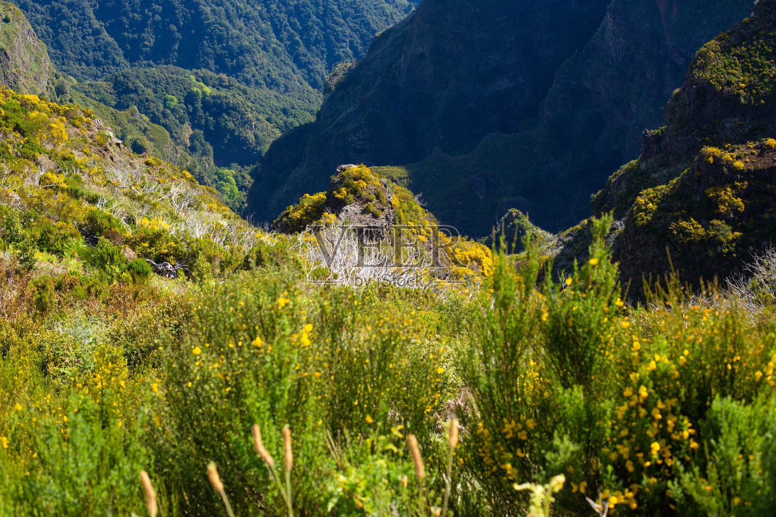 葡萄牙马德拉岛上的美丽山地风景照片摄影图片