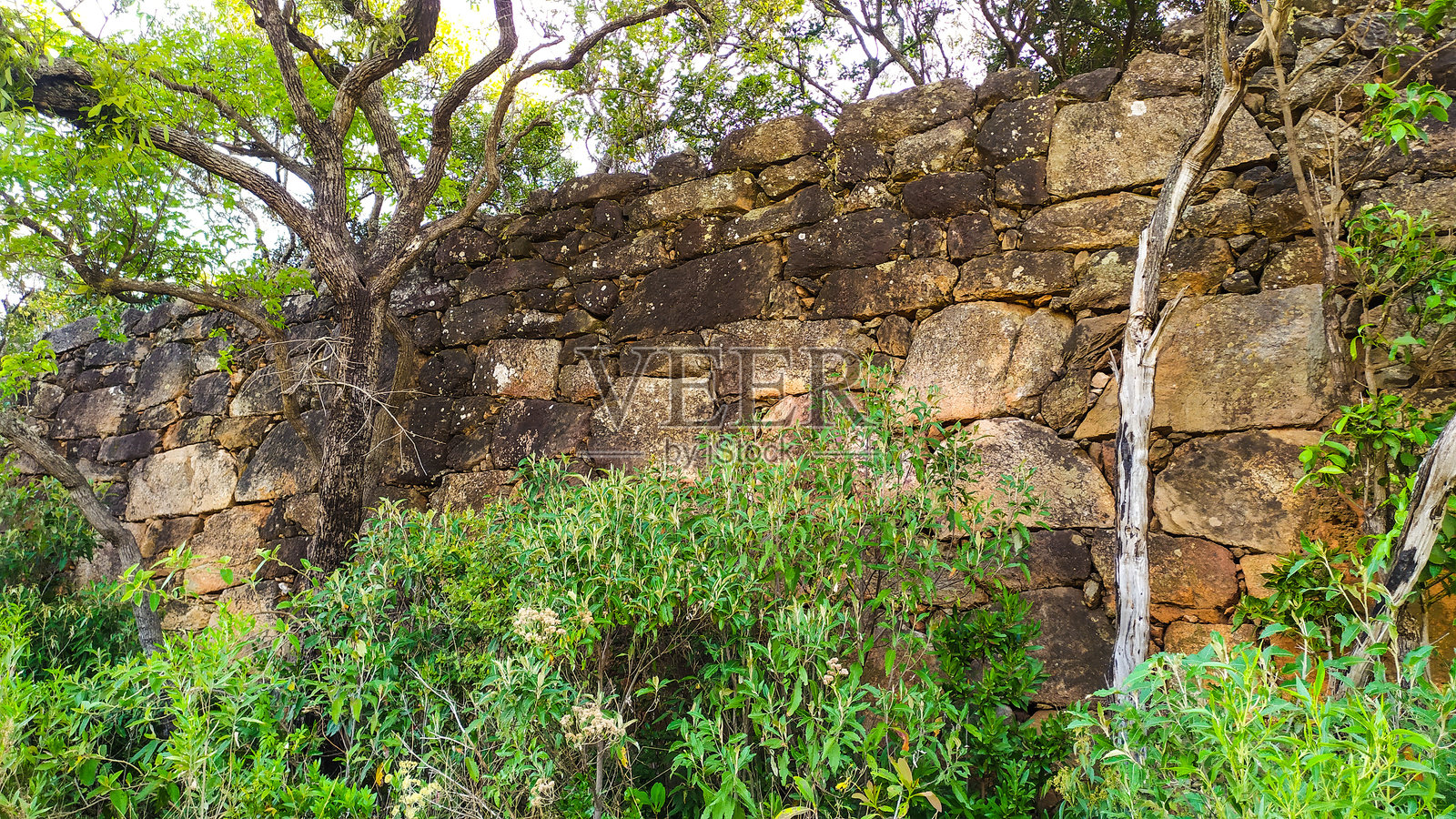 小瀑布照片摄影图片