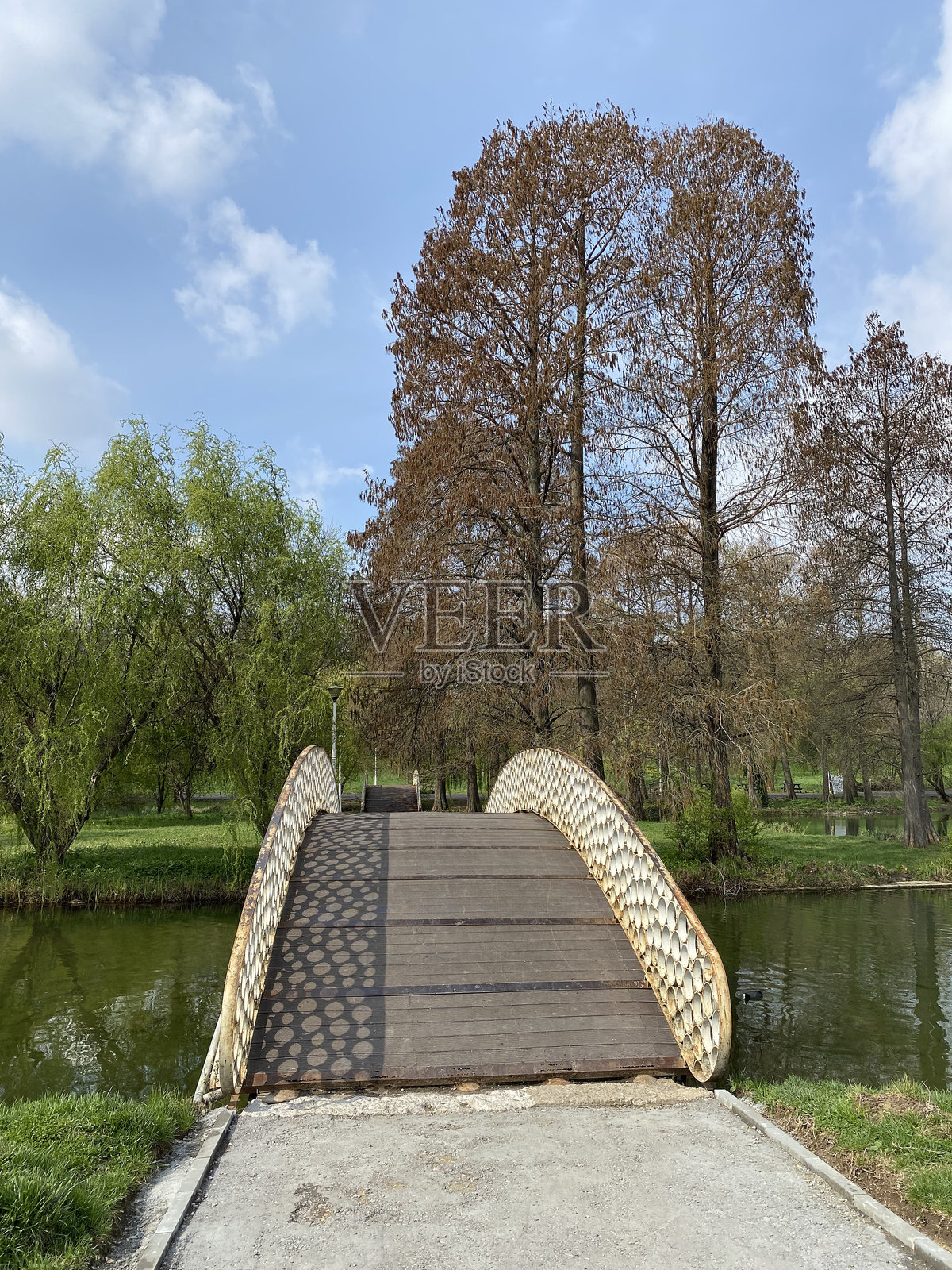 布加勒斯特公园中的桥照片摄影图片