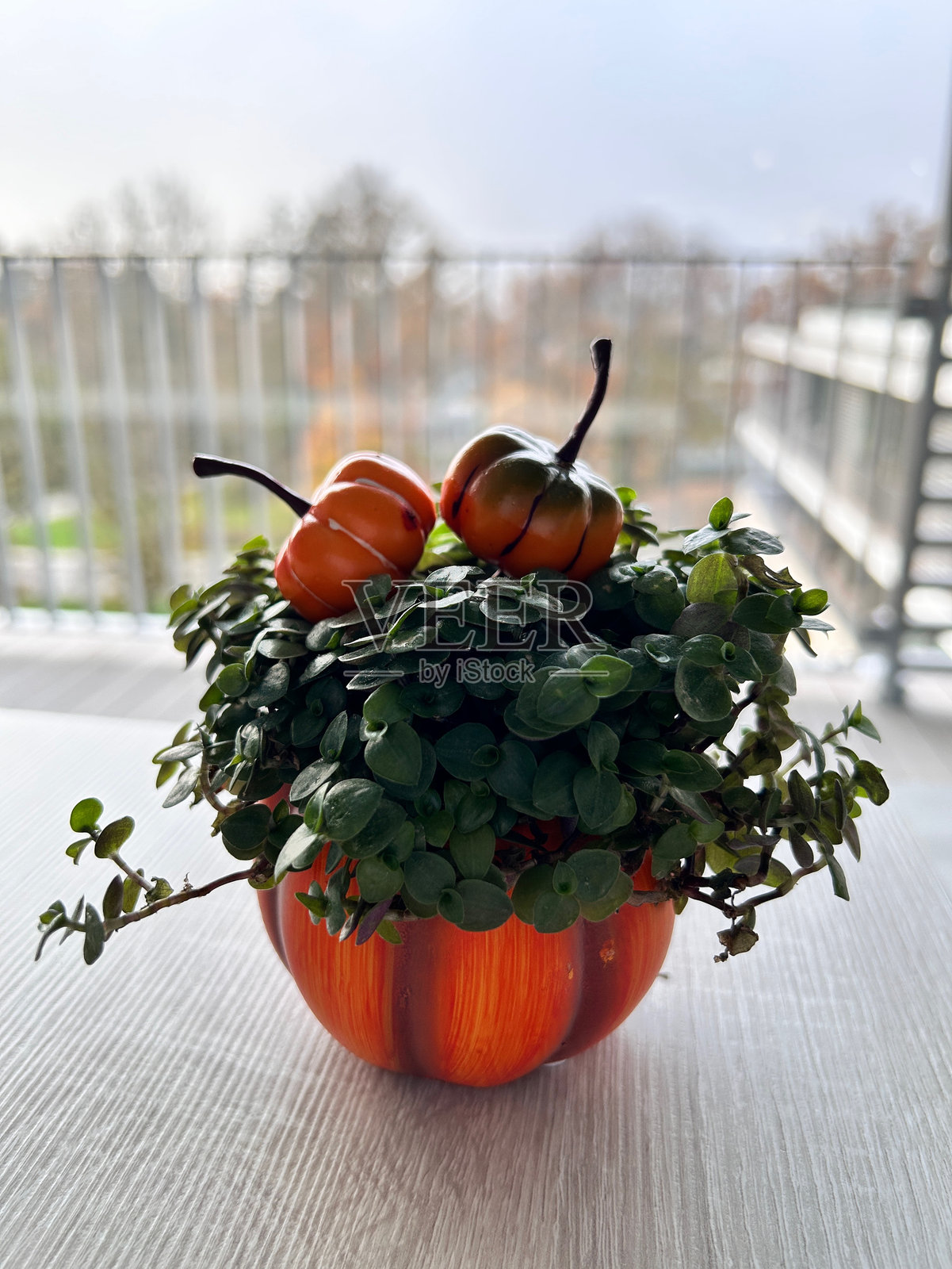 万圣节氛围照片摄影图片