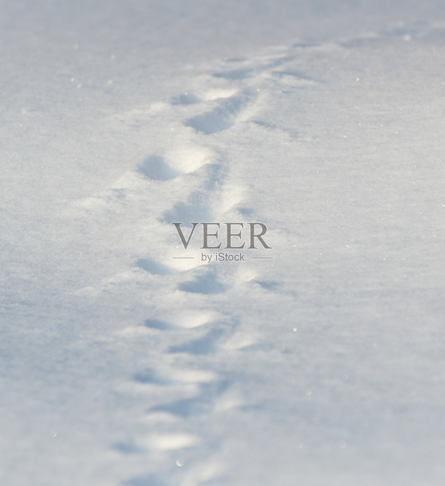 一条被雪覆盖的小路上留有几只脚印照片摄影图片