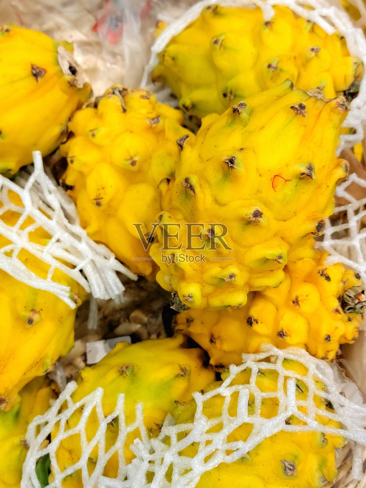 火龙果照片摄影图片