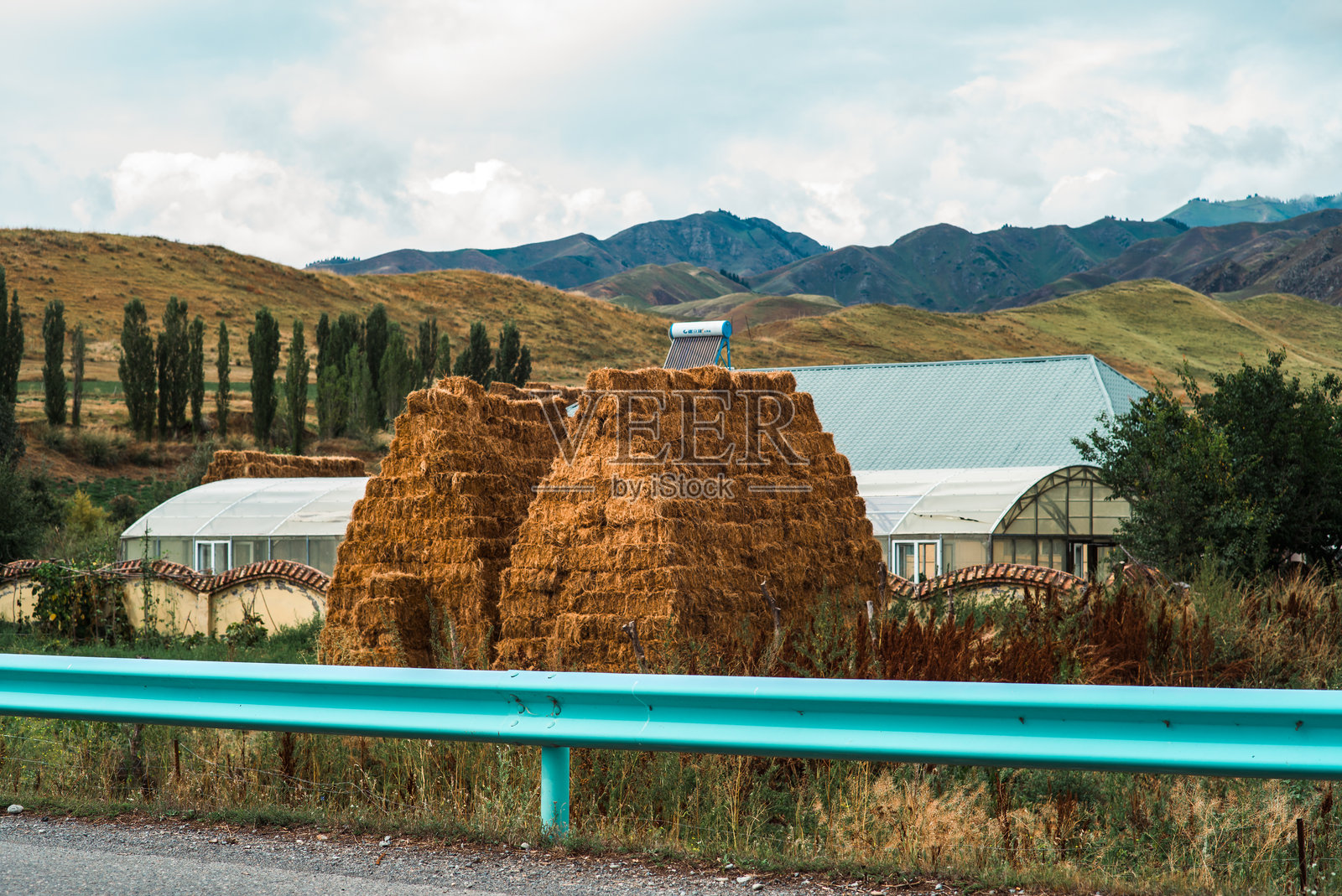 唐布拉草原照片摄影图片
