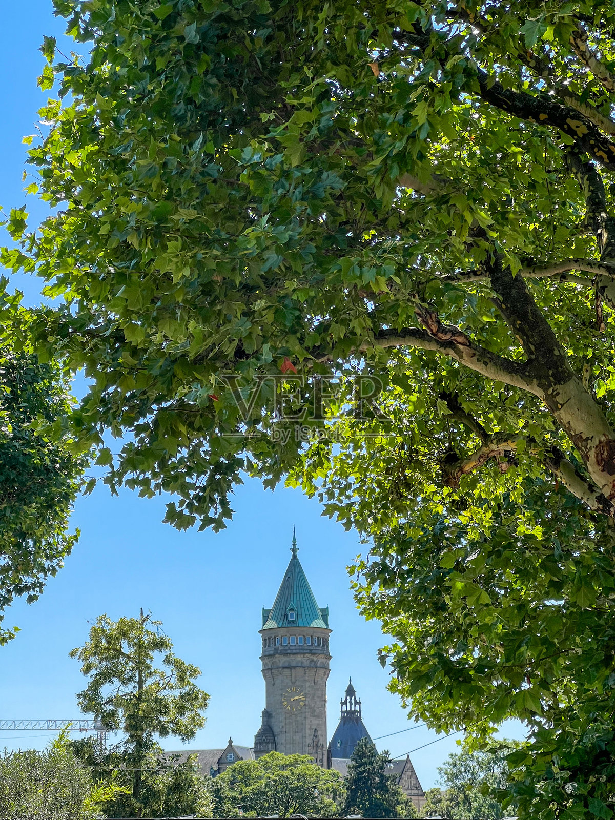 卢森堡市的斯普尔克斯克斯克钟楼与绿树环绕照片摄影图片